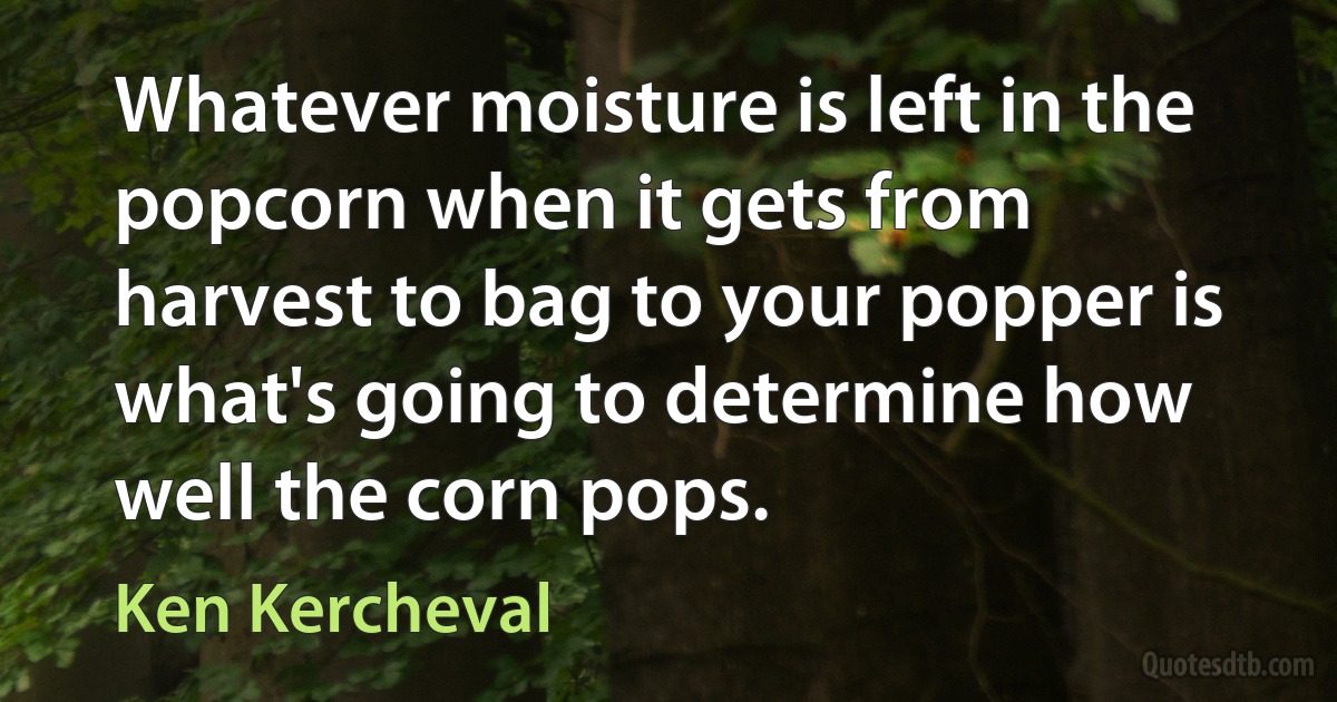 Whatever moisture is left in the popcorn when it gets from harvest to bag to your popper is what's going to determine how well the corn pops. (Ken Kercheval)