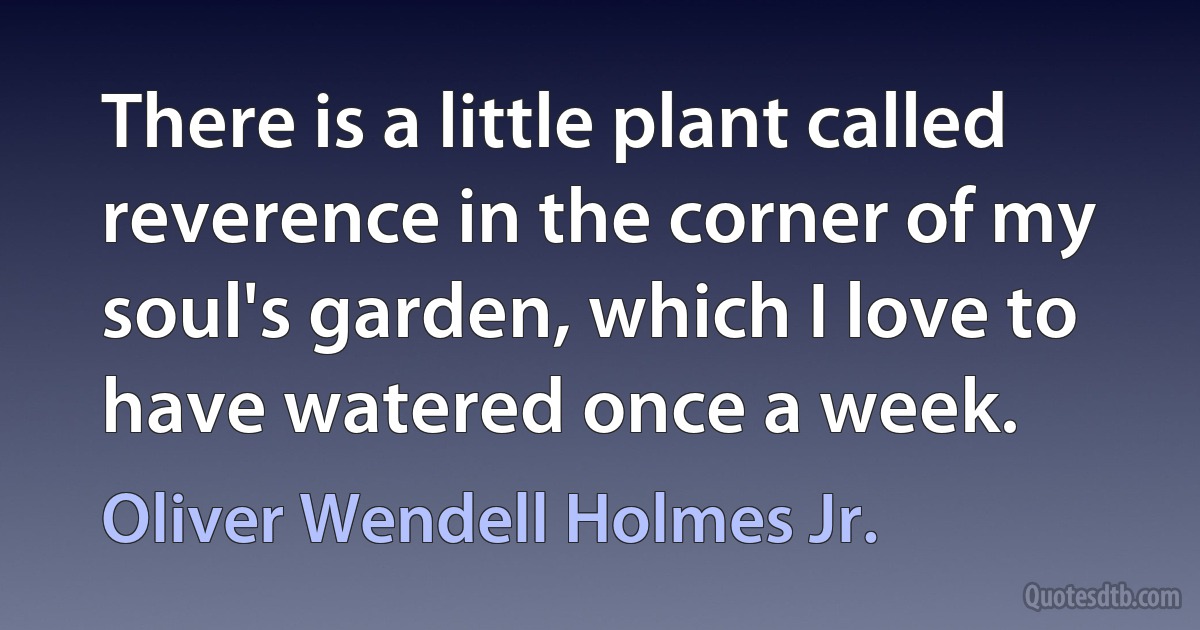 There is a little plant called reverence in the corner of my soul's garden, which I love to have watered once a week. (Oliver Wendell Holmes Jr.)