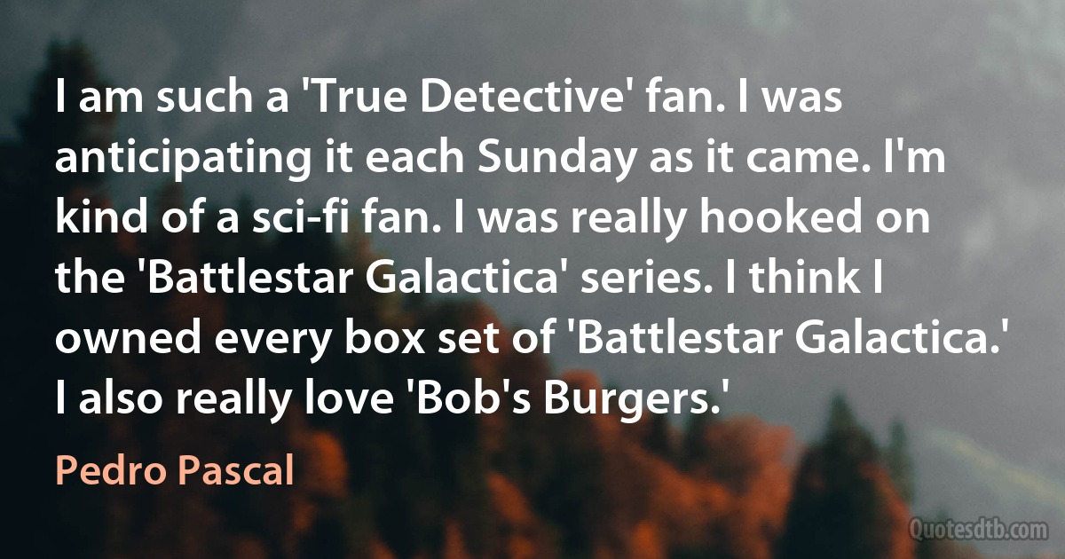 I am such a 'True Detective' fan. I was anticipating it each Sunday as it came. I'm kind of a sci-fi fan. I was really hooked on the 'Battlestar Galactica' series. I think I owned every box set of 'Battlestar Galactica.' I also really love 'Bob's Burgers.' (Pedro Pascal)