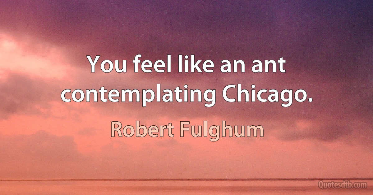 You feel like an ant contemplating Chicago. (Robert Fulghum)