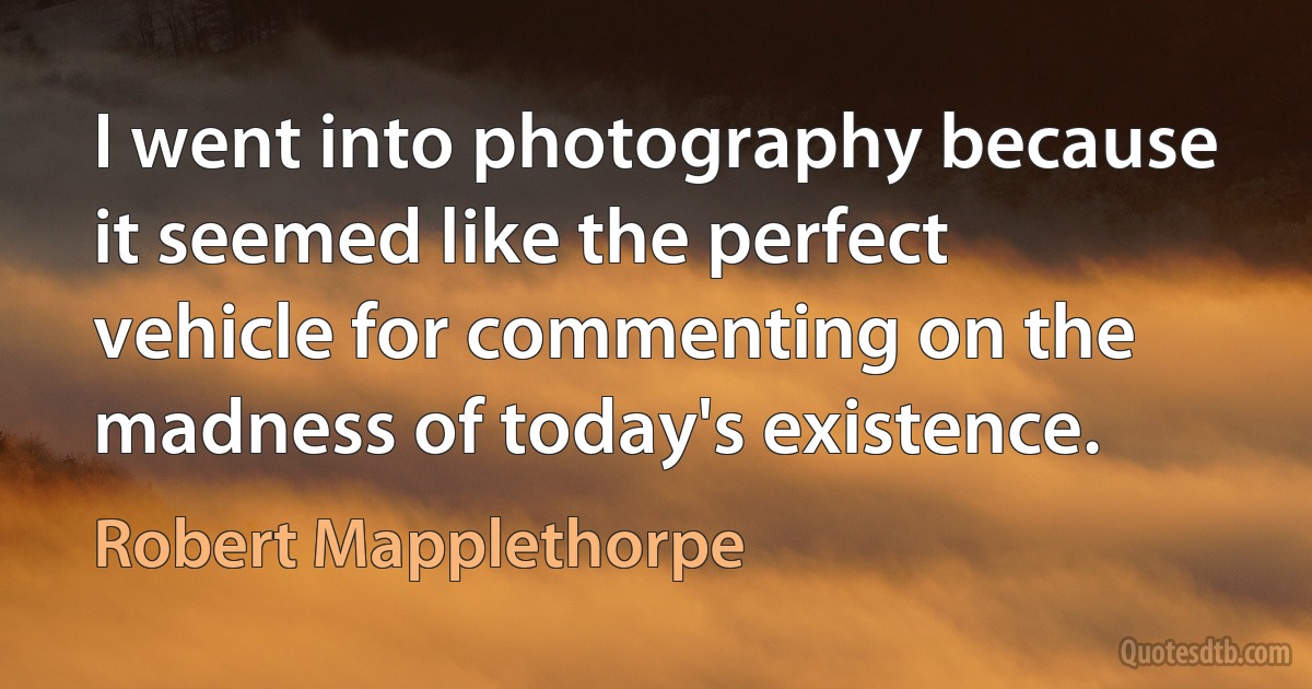 I went into photography because it seemed like the perfect vehicle for commenting on the madness of today's existence. (Robert Mapplethorpe)