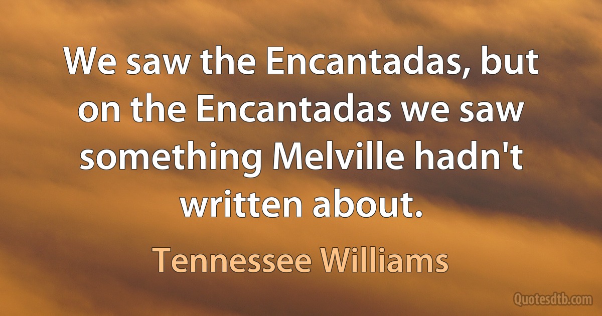 We saw the Encantadas, but on the Encantadas we saw something Melville hadn't written about. (Tennessee Williams)