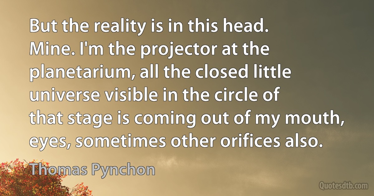 But the reality is in this head. Mine. I'm the projector at the planetarium, all the closed little universe visible in the circle of that stage is coming out of my mouth, eyes, sometimes other orifices also. (Thomas Pynchon)