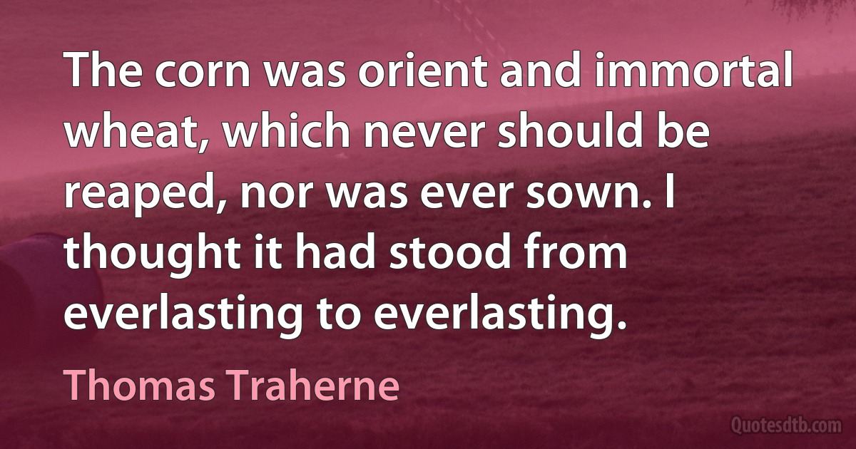 The corn was orient and immortal wheat, which never should be reaped, nor was ever sown. I thought it had stood from everlasting to everlasting. (Thomas Traherne)