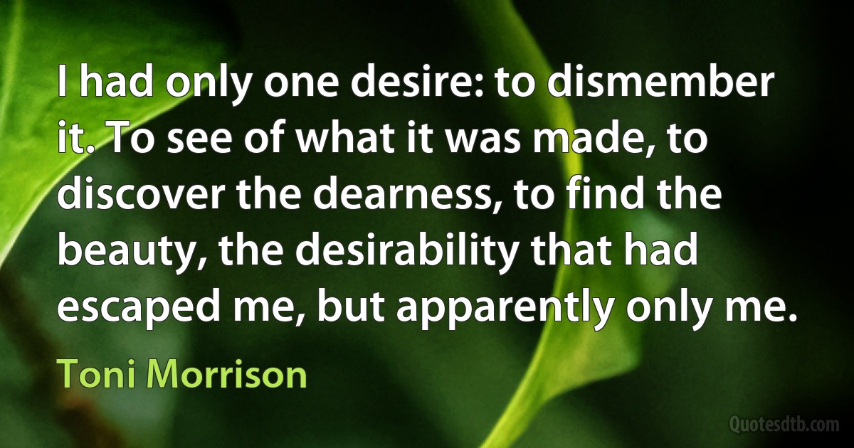 I had only one desire: to dismember it. To see of what it was made, to discover the dearness, to find the beauty, the desirability that had escaped me, but apparently only me. (Toni Morrison)