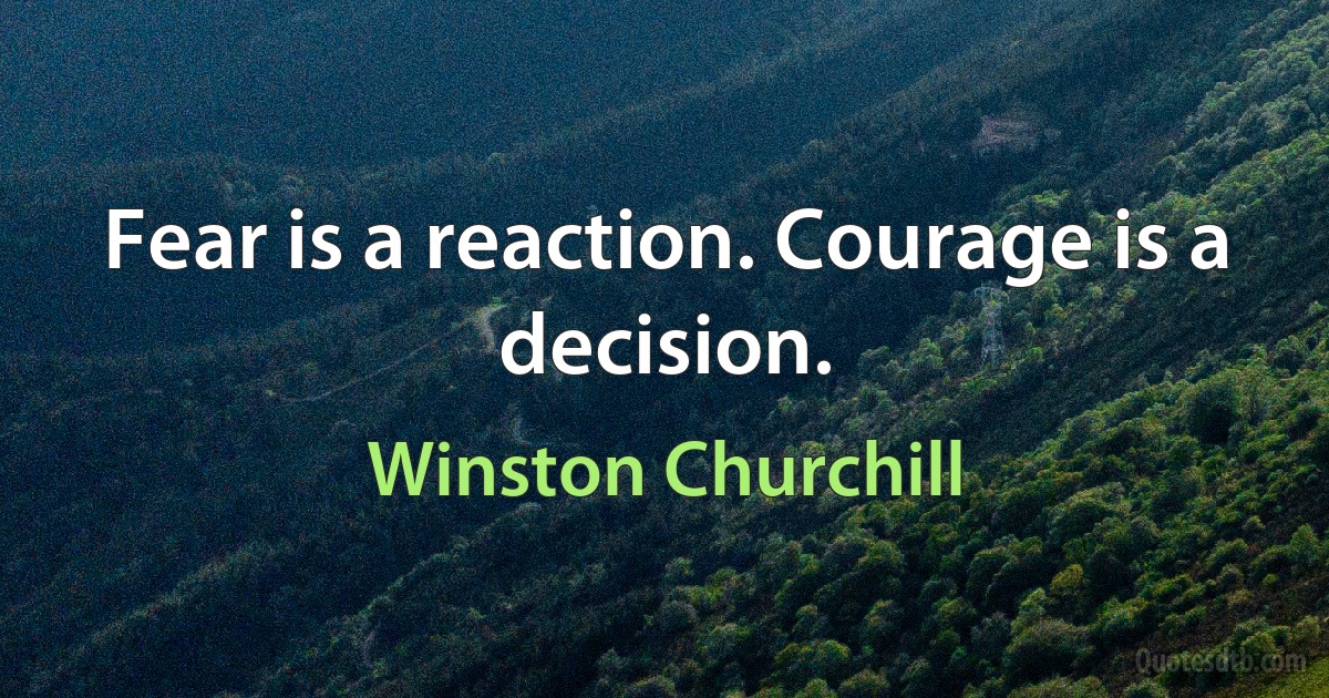 Fear is a reaction. Courage is a decision. (Winston Churchill)