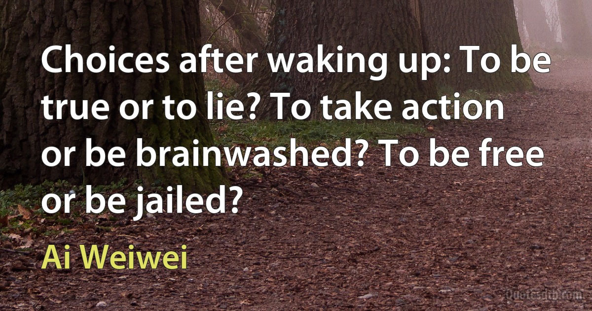 Choices after waking up: To be true or to lie? To take action or be brainwashed? To be free or be jailed? (Ai Weiwei)