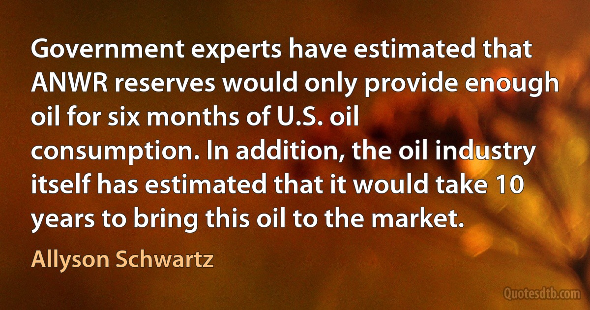 Government experts have estimated that ANWR reserves would only provide enough oil for six months of U.S. oil consumption. In addition, the oil industry itself has estimated that it would take 10 years to bring this oil to the market. (Allyson Schwartz)