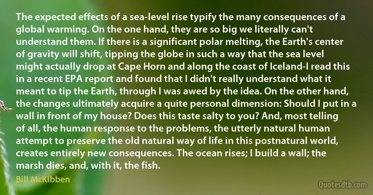 The expected effects of a sea-level rise typify the many consequences of a global warming. On the one hand, they are so big we literally can't understand them. If there is a significant polar melting, the Earth's center of gravity will shift, tipping the globe in such a way that the sea level might actually drop at Cape Horn and along the coast of Iceland-I read this in a recent EPA report and found that I didn't really understand what it meant to tip the Earth, through I was awed by the idea. On the other hand, the changes ultimately acquire a quite personal dimension: Should I put in a wall in front of my house? Does this taste salty to you? And, most telling of all, the human response to the problems, the utterly natural human attempt to preserve the old natural way of life in this postnatural world, creates entirely new consequences. The ocean rises; I build a wall; the marsh dies, and, with it, the fish. (Bill McKibben)