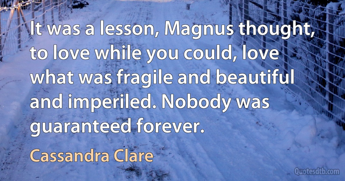 It was a lesson, Magnus thought, to love while you could, love what was fragile and beautiful and imperiled. Nobody was guaranteed forever. (Cassandra Clare)