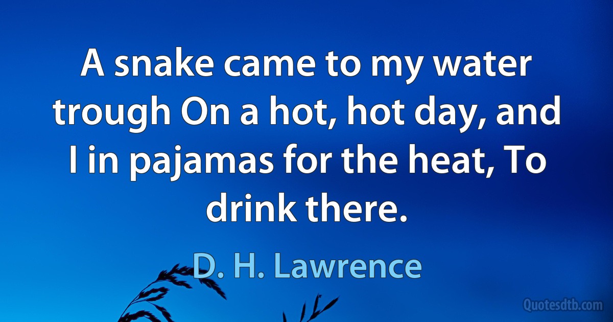 A snake came to my water trough On a hot, hot day, and I in pajamas for the heat, To drink there. (D. H. Lawrence)