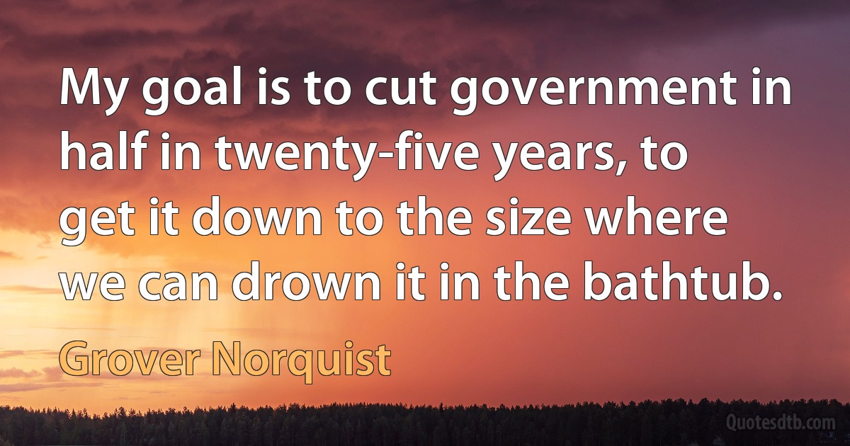 My goal is to cut government in half in twenty-five years, to get it down to the size where we can drown it in the bathtub. (Grover Norquist)