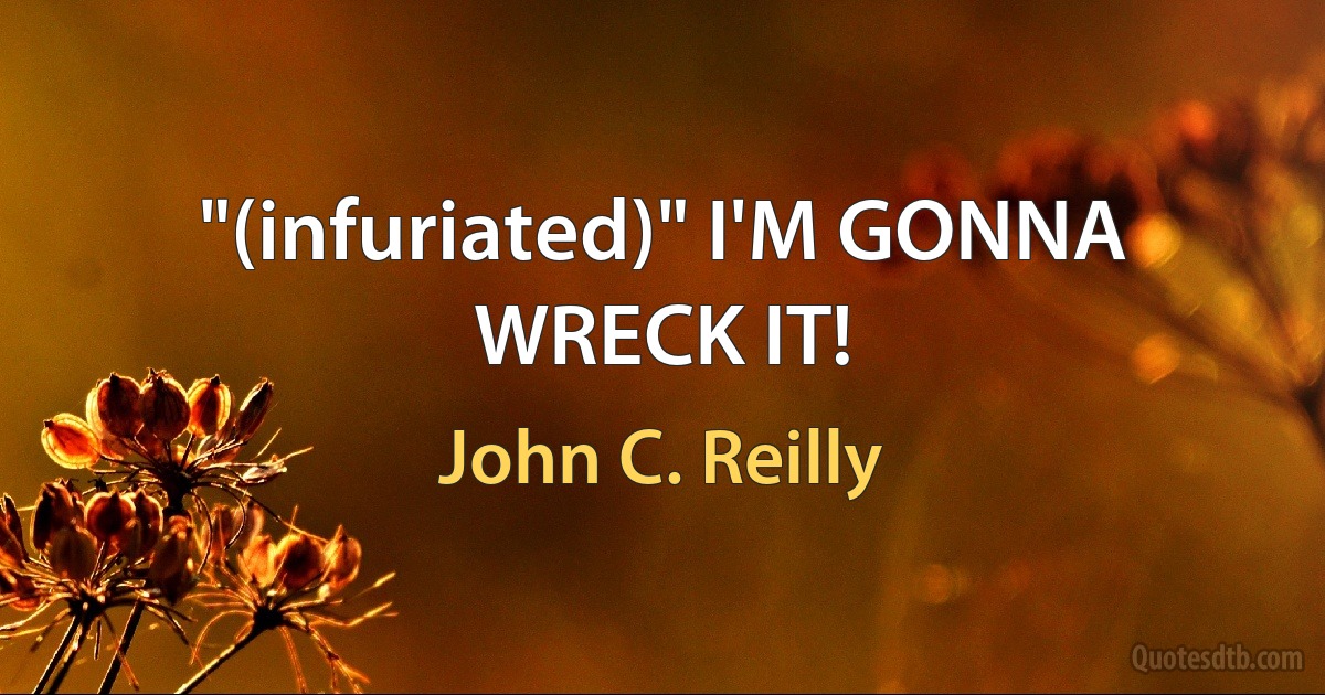 "(infuriated)" I'M GONNA WRECK IT! (John C. Reilly)