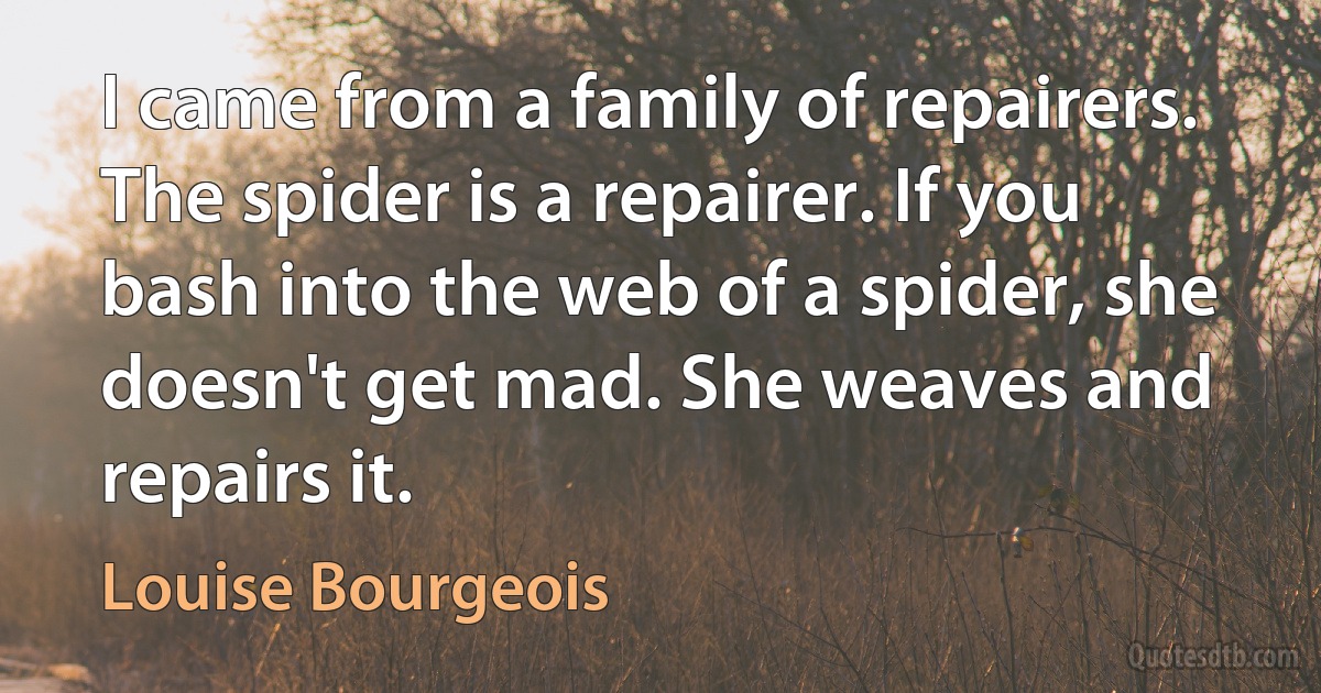 I came from a family of repairers. The spider is a repairer. If you bash into the web of a spider, she doesn't get mad. She weaves and repairs it. (Louise Bourgeois)