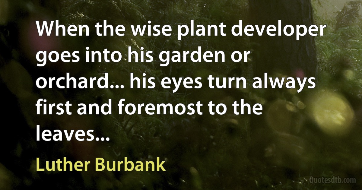 When the wise plant developer goes into his garden or orchard... his eyes turn always first and foremost to the leaves... (Luther Burbank)