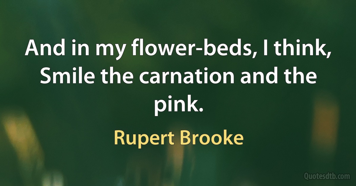 And in my flower-beds, I think,
Smile the carnation and the pink. (Rupert Brooke)