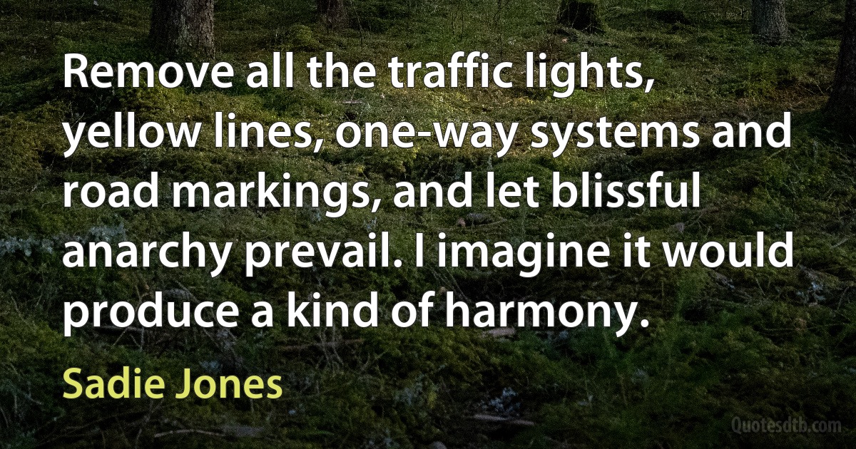 Remove all the traffic lights, yellow lines, one-way systems and road markings, and let blissful anarchy prevail. I imagine it would produce a kind of harmony. (Sadie Jones)