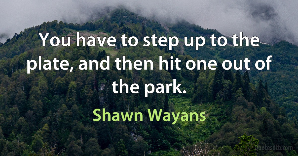 You have to step up to the plate, and then hit one out of the park. (Shawn Wayans)