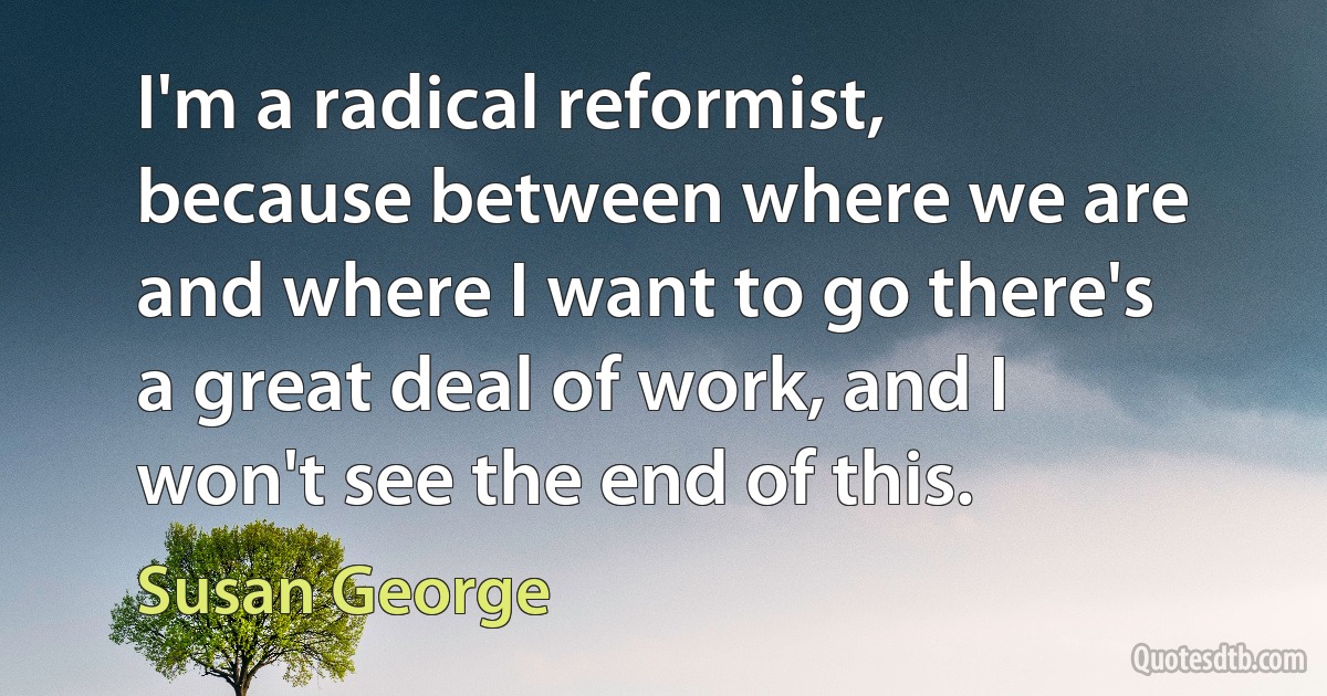 I'm a radical reformist, because between where we are and where I want to go there's a great deal of work, and I won't see the end of this. (Susan George)