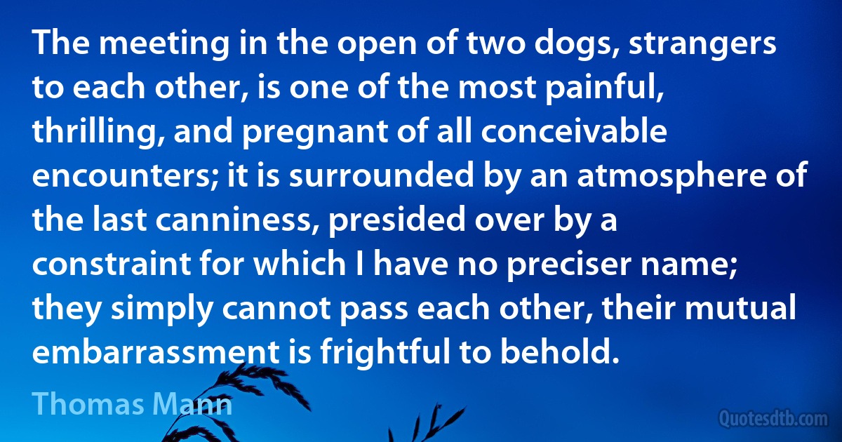 The meeting in the open of two dogs, strangers to each other, is one of the most painful, thrilling, and pregnant of all conceivable encounters; it is surrounded by an atmosphere of the last canniness, presided over by a constraint for which I have no preciser name; they simply cannot pass each other, their mutual embarrassment is frightful to behold. (Thomas Mann)