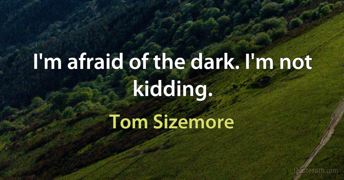 I'm afraid of the dark. I'm not kidding. (Tom Sizemore)