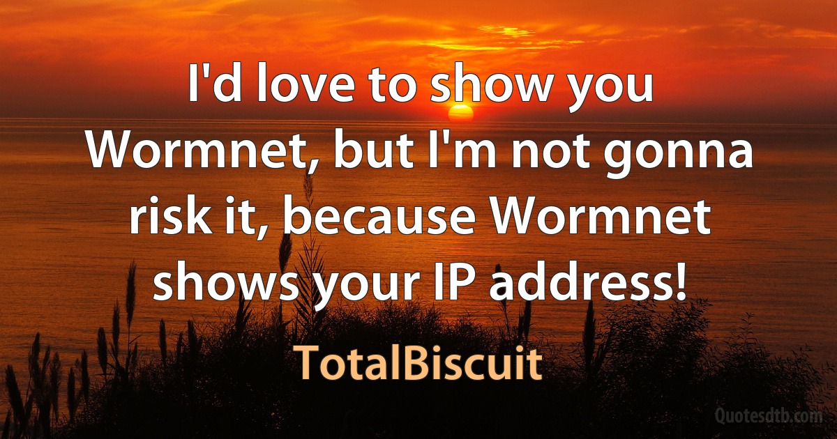 I'd love to show you Wormnet, but I'm not gonna risk it, because Wormnet shows your IP address! (TotalBiscuit)