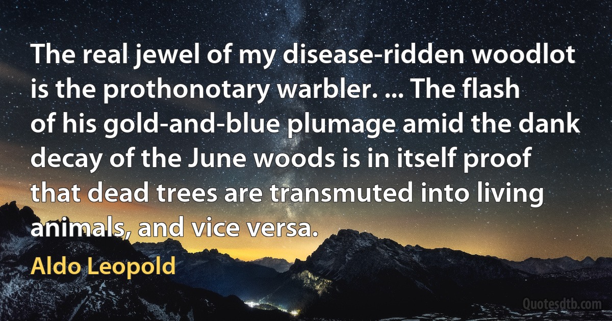 The real jewel of my disease-ridden woodlot is the prothonotary warbler. ... The flash of his gold-and-blue plumage amid the dank decay of the June woods is in itself proof that dead trees are transmuted into living animals, and vice versa. (Aldo Leopold)