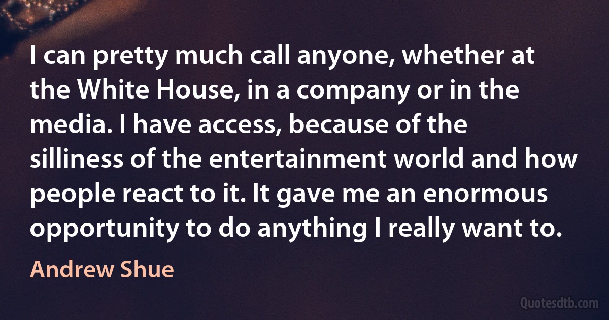 I can pretty much call anyone, whether at the White House, in a company or in the media. I have access, because of the silliness of the entertainment world and how people react to it. It gave me an enormous opportunity to do anything I really want to. (Andrew Shue)