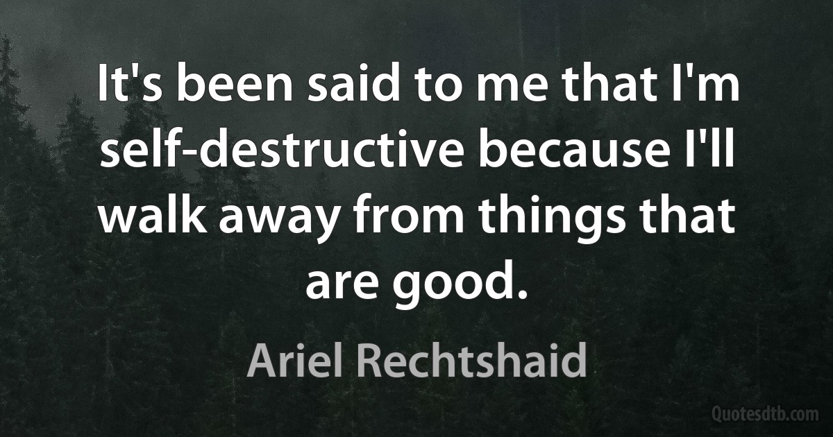 It's been said to me that I'm self-destructive because I'll walk away from things that are good. (Ariel Rechtshaid)