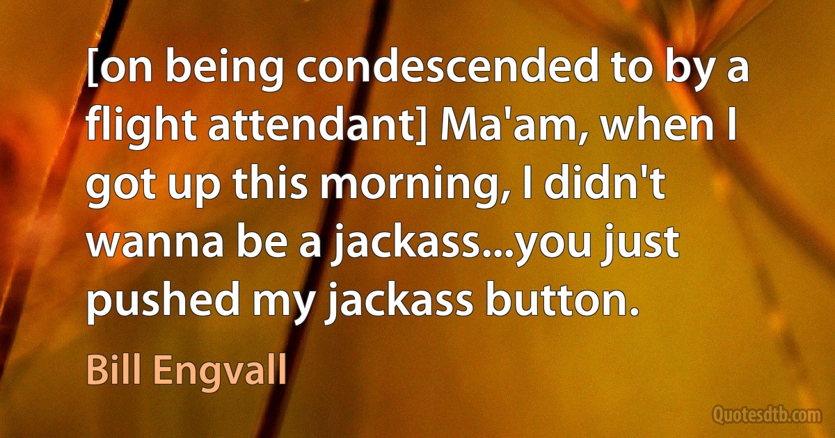 [on being condescended to by a flight attendant] Ma'am, when I got up this morning, I didn't wanna be a jackass...you just pushed my jackass button. (Bill Engvall)