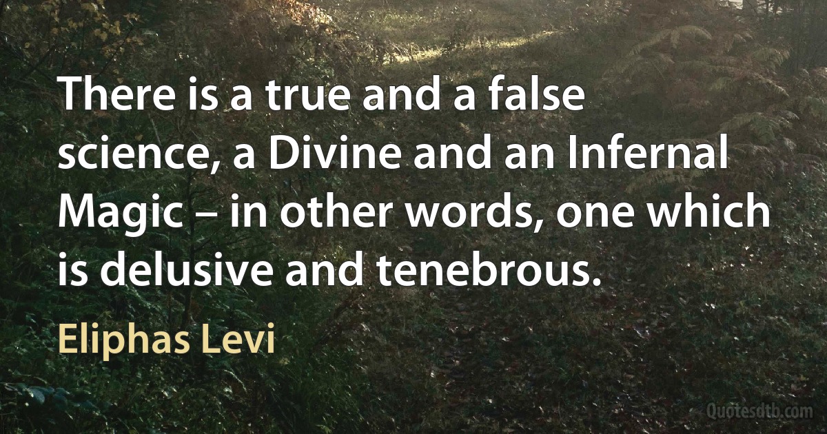 There is a true and a false science, a Divine and an Infernal Magic – in other words, one which is delusive and tenebrous. (Eliphas Levi)