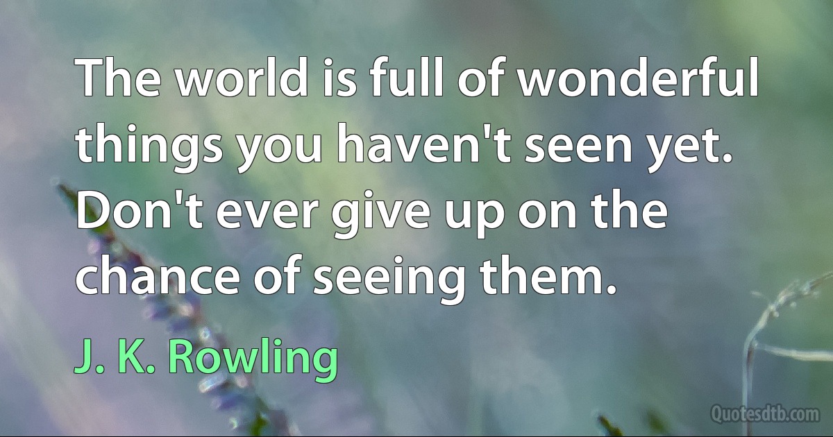 The world is full of wonderful things you haven't seen yet. Don't ever give up on the chance of seeing them. (J. K. Rowling)