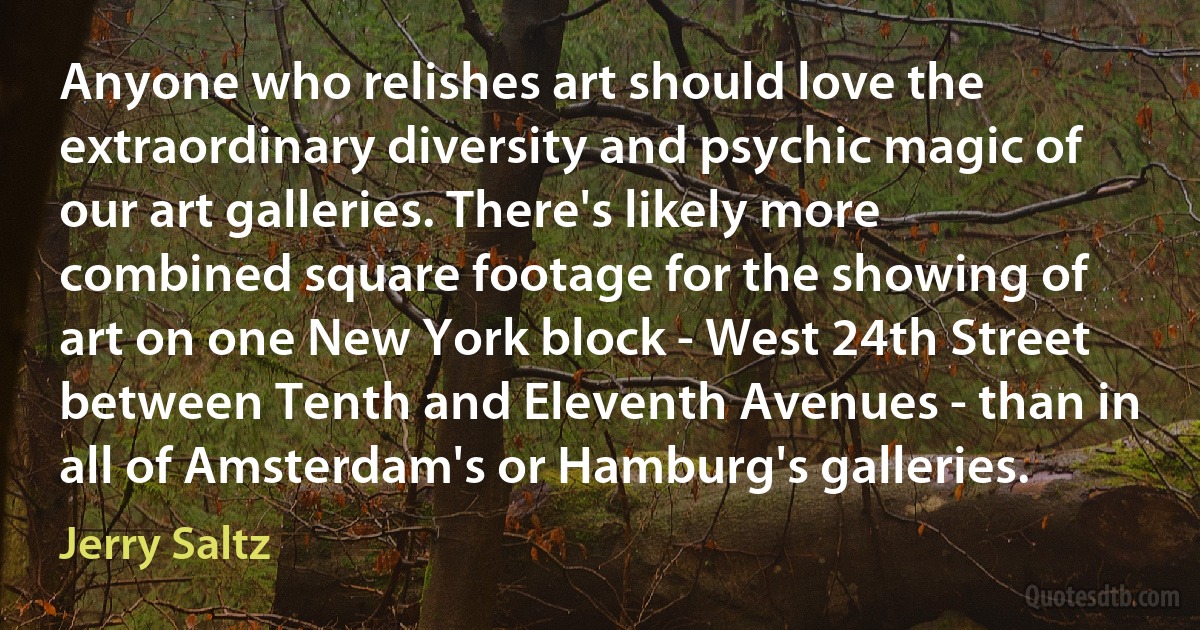 Anyone who relishes art should love the extraordinary diversity and psychic magic of our art galleries. There's likely more combined square footage for the showing of art on one New York block - West 24th Street between Tenth and Eleventh Avenues - than in all of Amsterdam's or Hamburg's galleries. (Jerry Saltz)