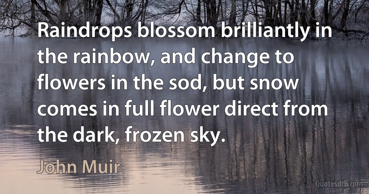 Raindrops blossom brilliantly in the rainbow, and change to flowers in the sod, but snow comes in full flower direct from the dark, frozen sky. (John Muir)