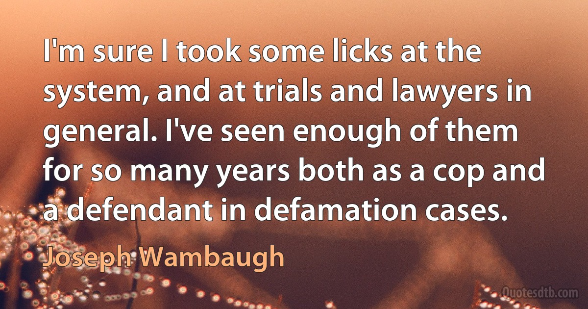 I'm sure I took some licks at the system, and at trials and lawyers in general. I've seen enough of them for so many years both as a cop and a defendant in defamation cases. (Joseph Wambaugh)