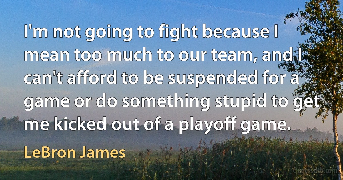 I'm not going to fight because I mean too much to our team, and I can't afford to be suspended for a game or do something stupid to get me kicked out of a playoff game. (LeBron James)