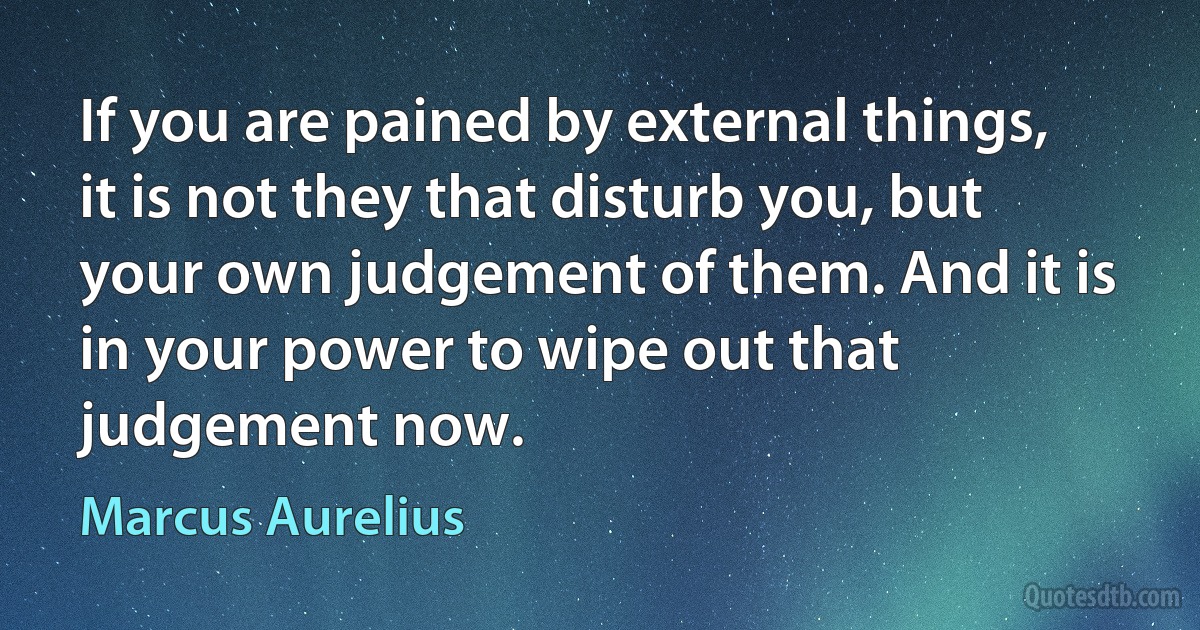 If you are pained by external things, it is not they that disturb you, but your own judgement of them. And it is in your power to wipe out that judgement now. (Marcus Aurelius)