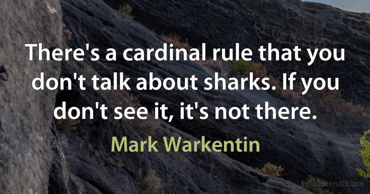 There's a cardinal rule that you don't talk about sharks. If you don't see it, it's not there. (Mark Warkentin)