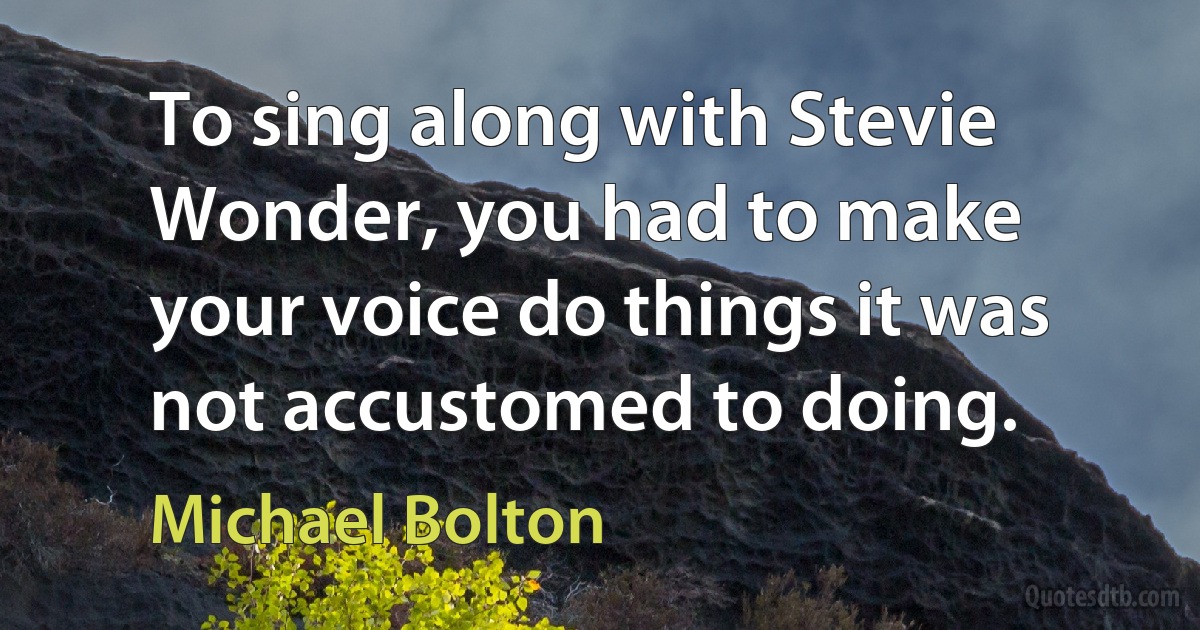 To sing along with Stevie Wonder, you had to make your voice do things it was not accustomed to doing. (Michael Bolton)