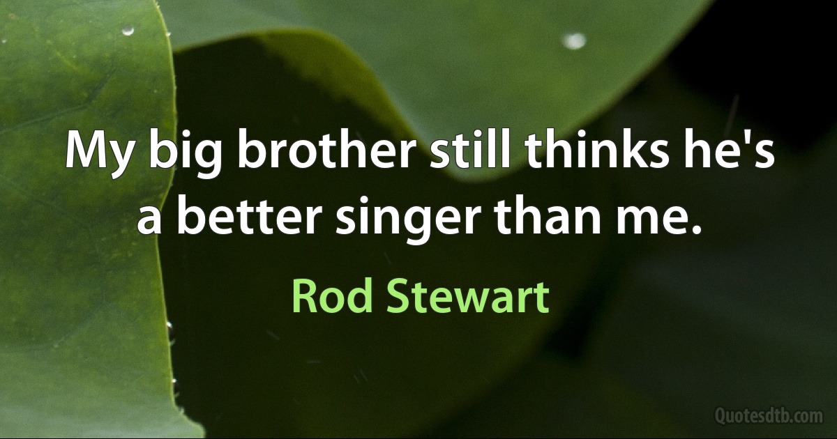 My big brother still thinks he's a better singer than me. (Rod Stewart)