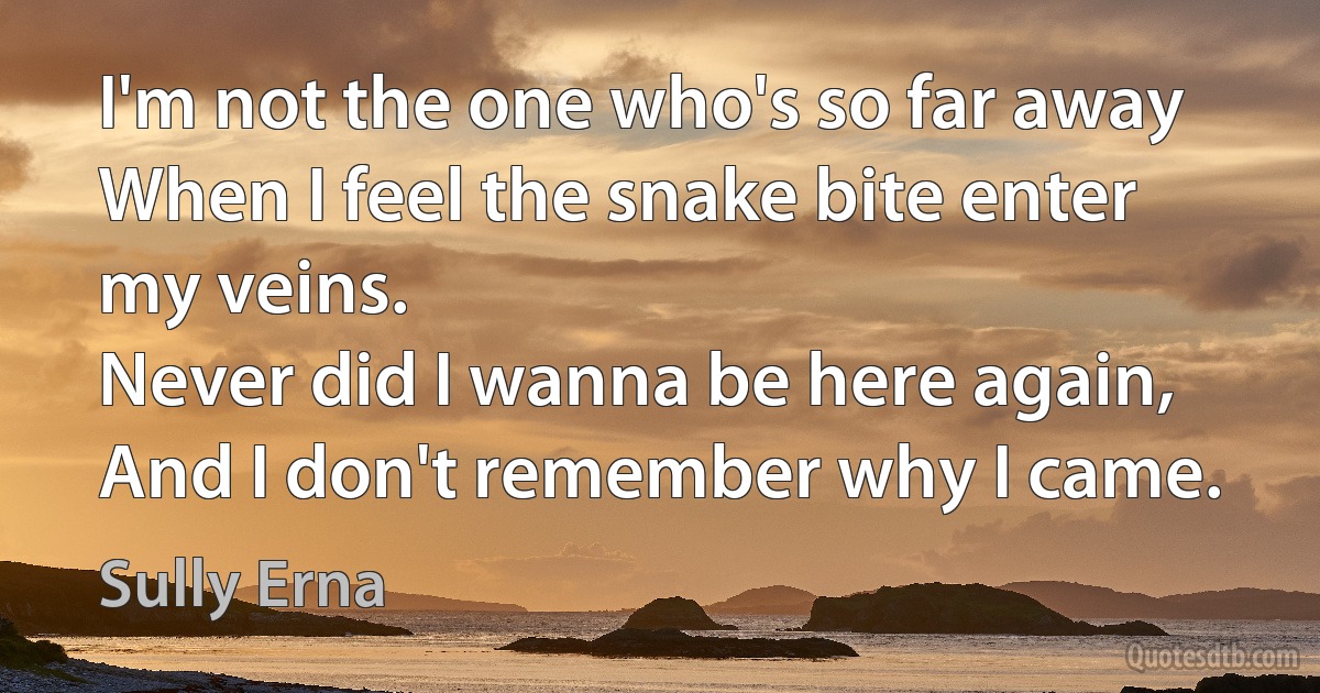 I'm not the one who's so far away
When I feel the snake bite enter my veins.
Never did I wanna be here again,
And I don't remember why I came. (Sully Erna)