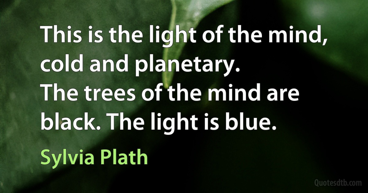 This is the light of the mind, cold and planetary.
The trees of the mind are black. The light is blue. (Sylvia Plath)