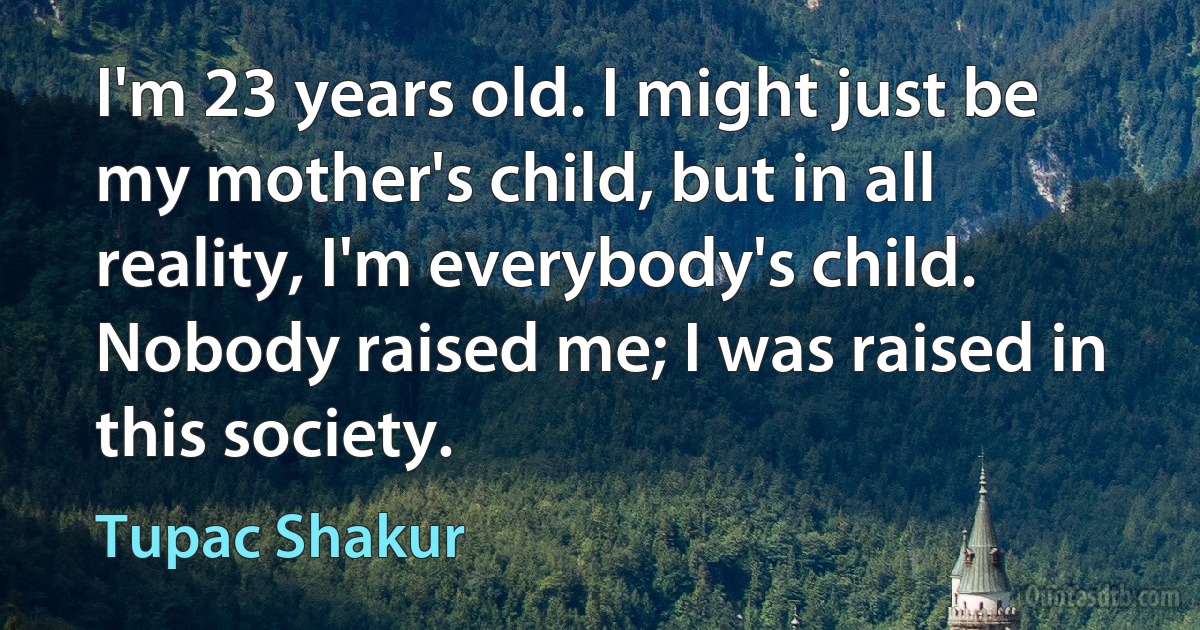 I'm 23 years old. I might just be my mother's child, but in all reality, I'm everybody's child. Nobody raised me; I was raised in this society. (Tupac Shakur)