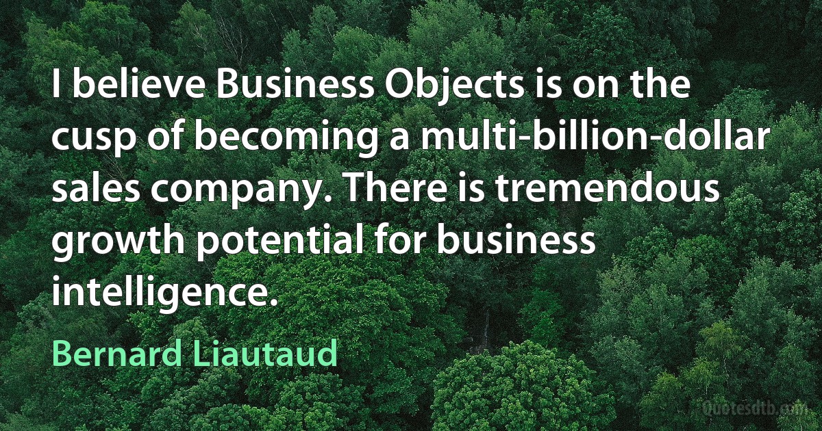 I believe Business Objects is on the cusp of becoming a multi-billion-dollar sales company. There is tremendous growth potential for business intelligence. (Bernard Liautaud)