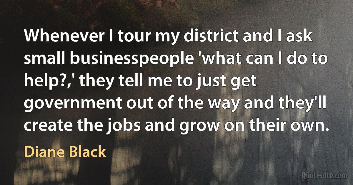 Whenever I tour my district and I ask small businesspeople 'what can I do to help?,' they tell me to just get government out of the way and they'll create the jobs and grow on their own. (Diane Black)