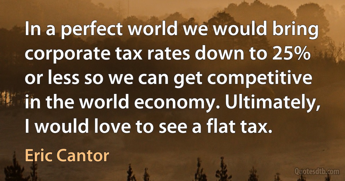 In a perfect world we would bring corporate tax rates down to 25% or less so we can get competitive in the world economy. Ultimately, I would love to see a flat tax. (Eric Cantor)