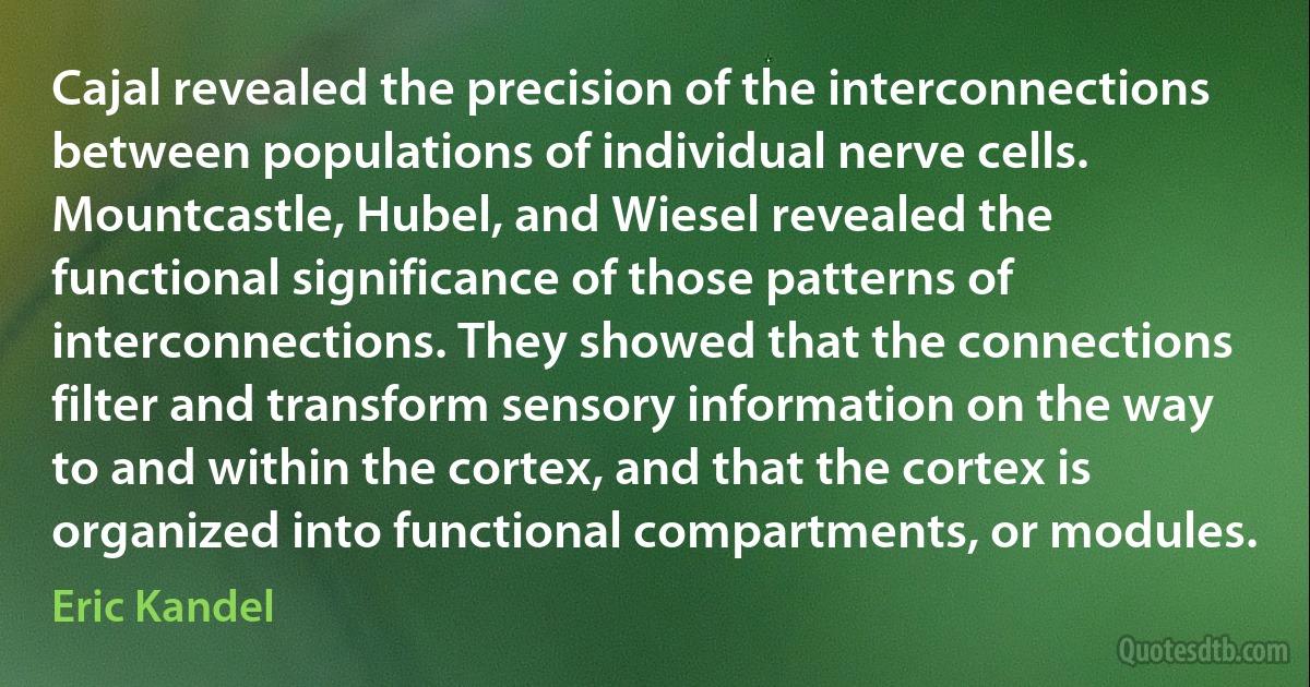 Cajal revealed the precision of the interconnections between populations of individual nerve cells. Mountcastle, Hubel, and Wiesel revealed the functional significance of those patterns of interconnections. They showed that the connections filter and transform sensory information on the way to and within the cortex, and that the cortex is organized into functional compartments, or modules. (Eric Kandel)