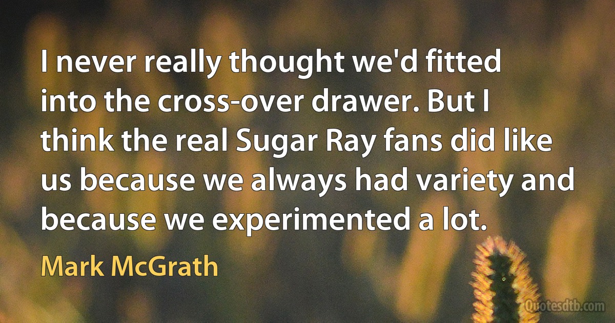 I never really thought we'd fitted into the cross-over drawer. But I think the real Sugar Ray fans did like us because we always had variety and because we experimented a lot. (Mark McGrath)