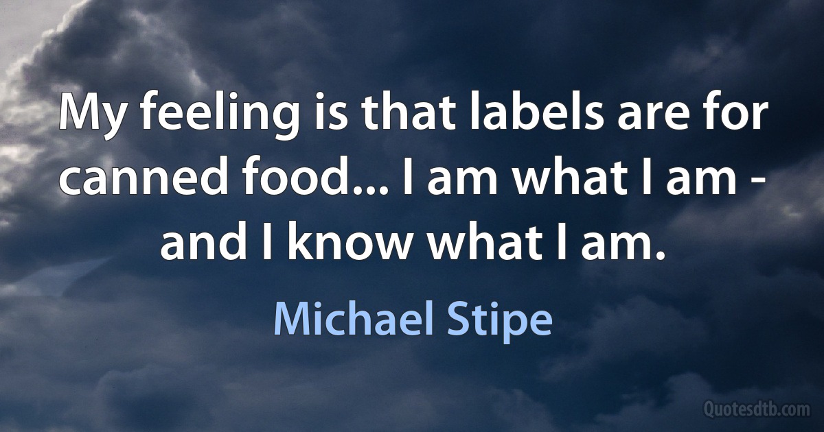 My feeling is that labels are for canned food... I am what I am - and I know what I am. (Michael Stipe)