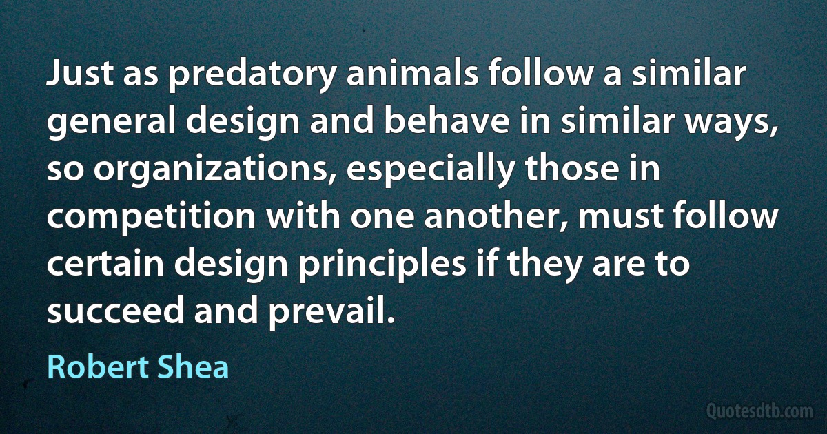 Just as predatory animals follow a similar general design and behave in similar ways, so organizations, especially those in competition with one another, must follow certain design principles if they are to succeed and prevail. (Robert Shea)